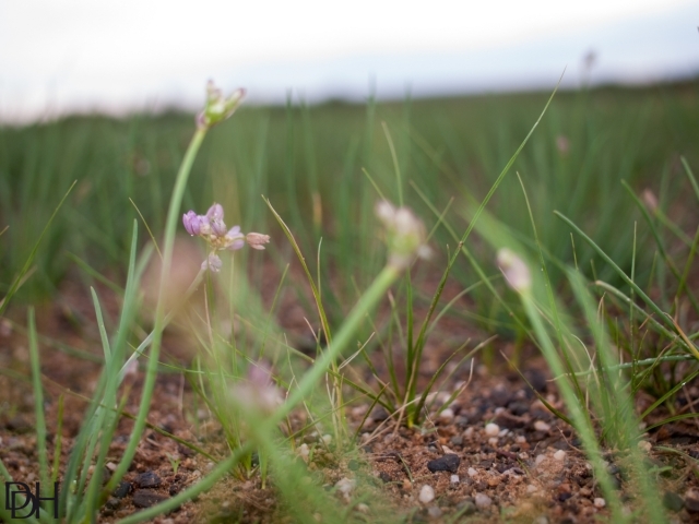 {DT=2013-07-25@06-23-14}SN=001