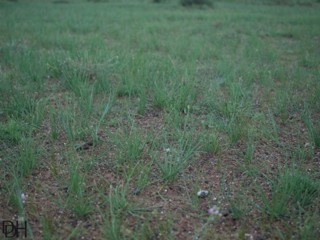 {DT=2013-07-25@06-23-42}SN=001