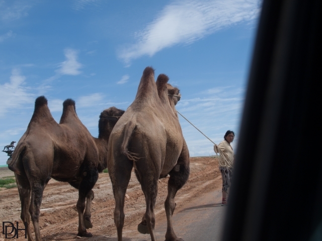 {DT=2013-07-25@11-12-41}SN=001