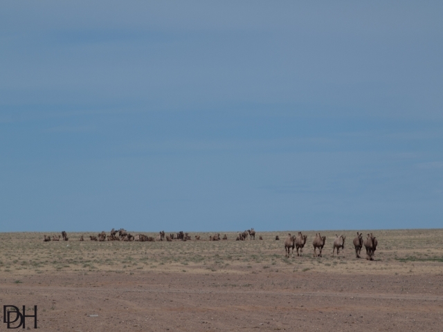 {DT=2013-07-25@15-31-40}SN=001