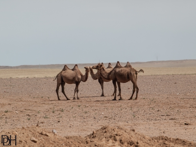 {DT=2013-07-25@15-33-24}SN=001