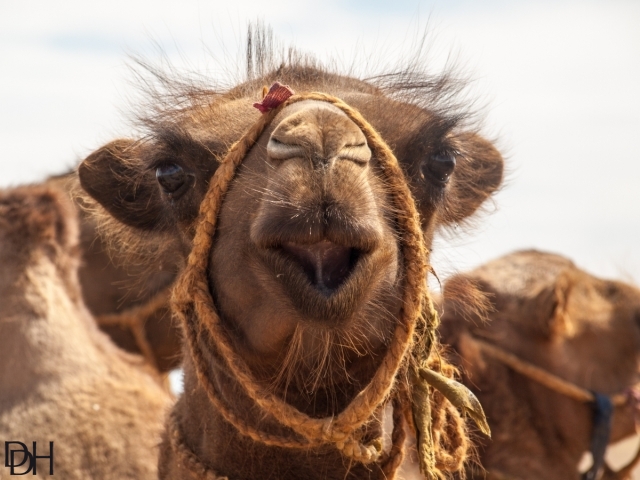 {DT=2013-07-25@15-36-40}SN=001