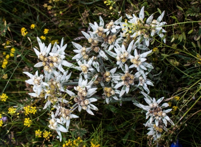 {DT=2013-08-03@16-14-03}SN=001