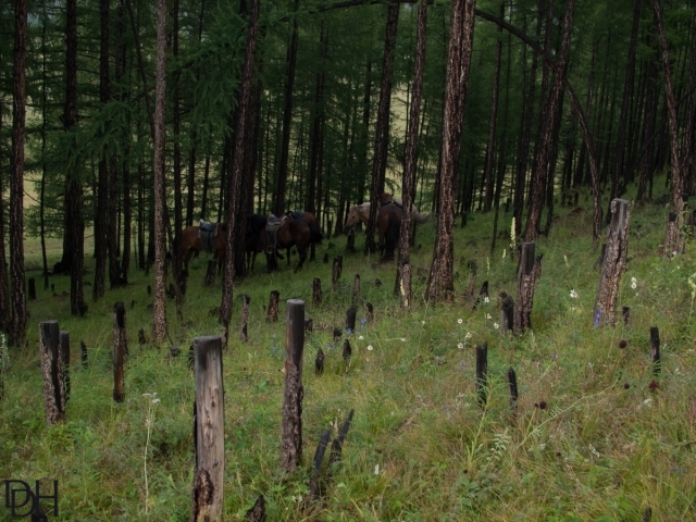 {DT=2013-08-03@17-16-02}SN=001