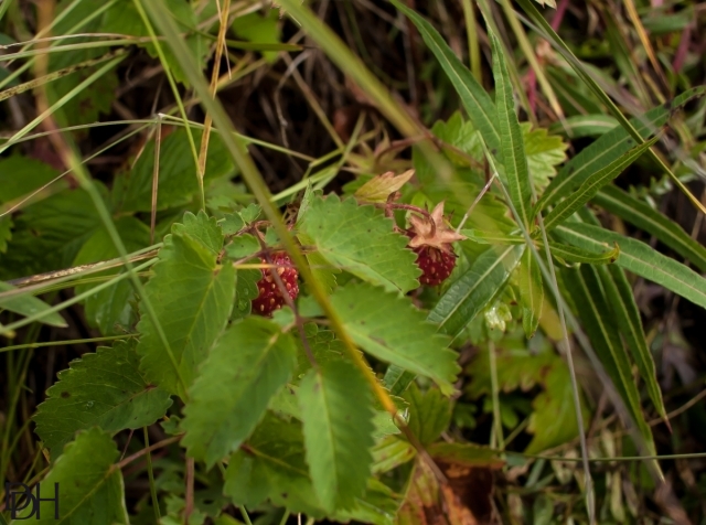 {DT=2013-08-03@17-18-59}SN=001