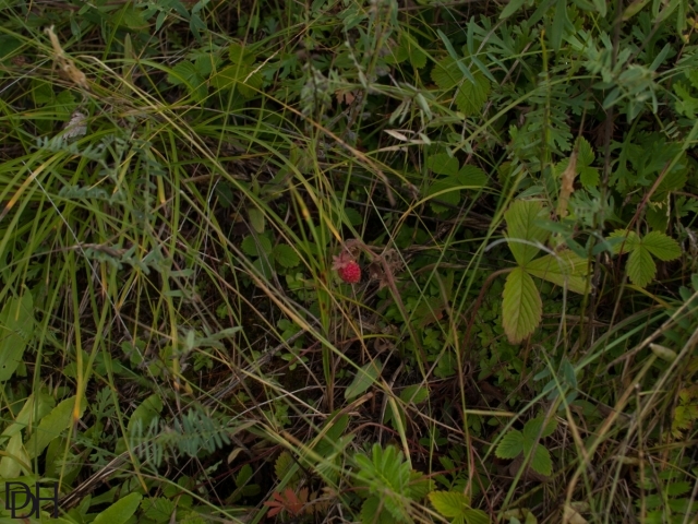 {DT=2013-08-03@17-21-31}SN=001