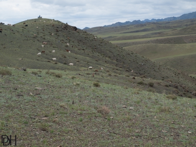 {DT=2013-07-26@16-00-02}SN=001