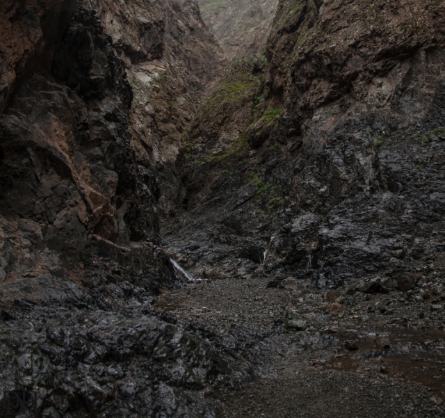 {DT=2013-07-26@17-42-00}SN=001