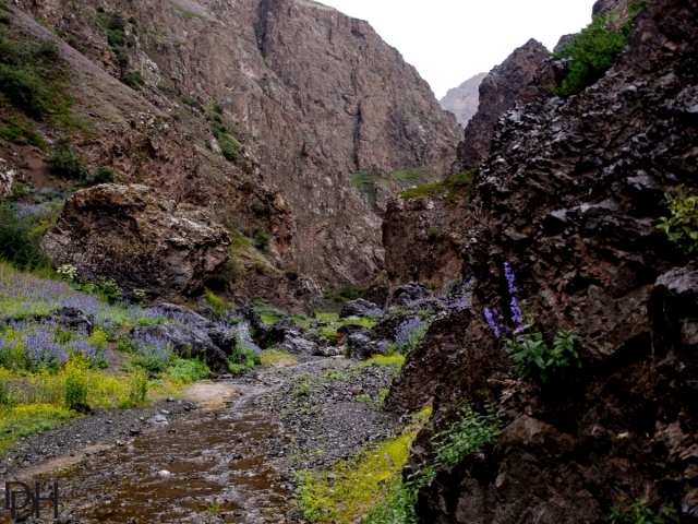 {DT=2013-07-26@18-13-42}SN=001