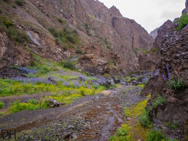 {DT=2013-07-26@18-13-46}SN=001