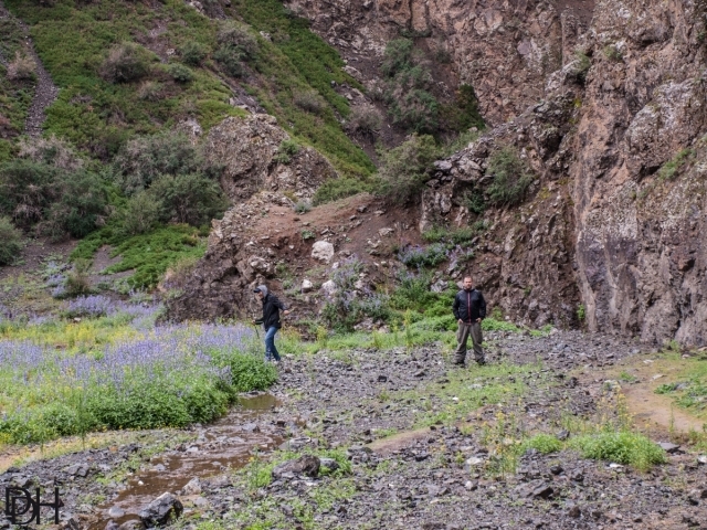 {DT=2013-07-26@18-16-22}SN=001