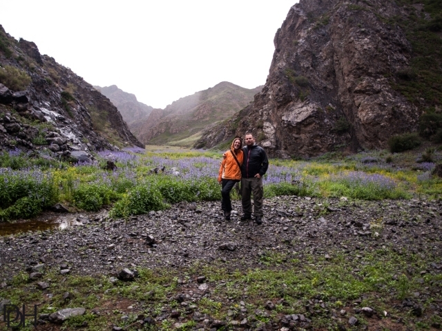 {DT=2013-07-26@18-18-53}SN=001