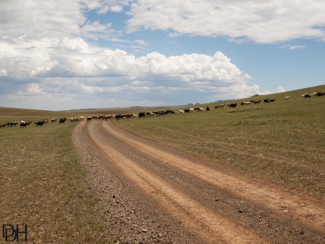 {DT=2013-07-27@13-11-24}SN=001