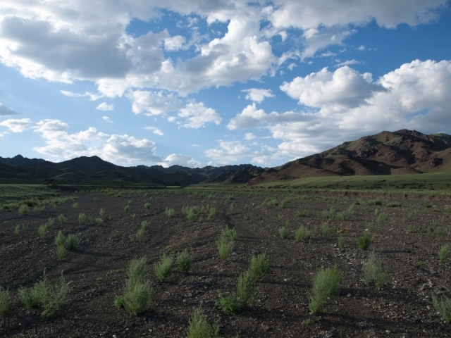 {DT=2013-07-27@19-08-18}SN=001