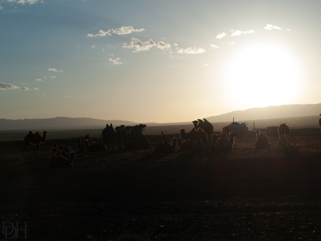 {DT=2013-07-27@20-07-03}SN=001