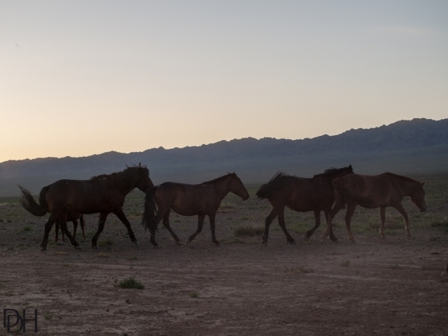 {DT=2013-07-27@20-24-37}SN=001