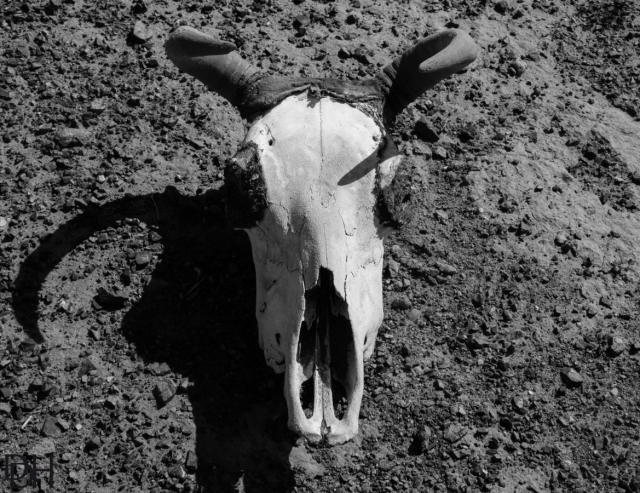 {DT=2013-07-28@09-47-14}SN=001