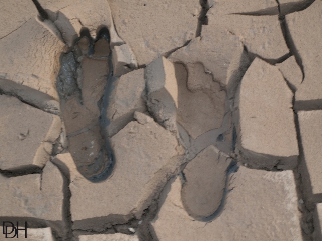 {DT=2013-07-28@19-09-07}SN=001