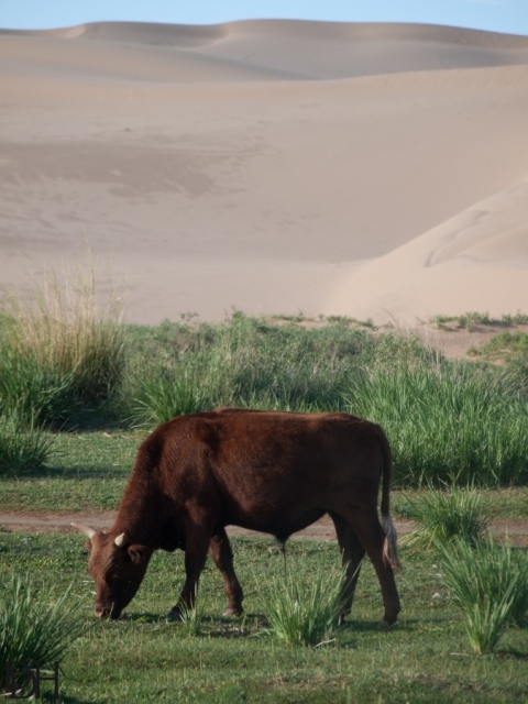 {DT=2013-07-30@07-40-43}SN=001