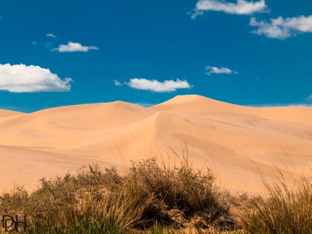 {DT=2013-07-30@10-58-59}SN=001