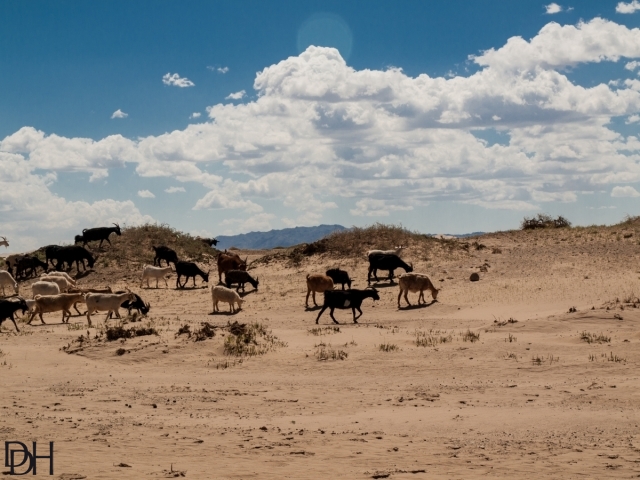 {DT=2013-07-30@11-20-02}SN=001