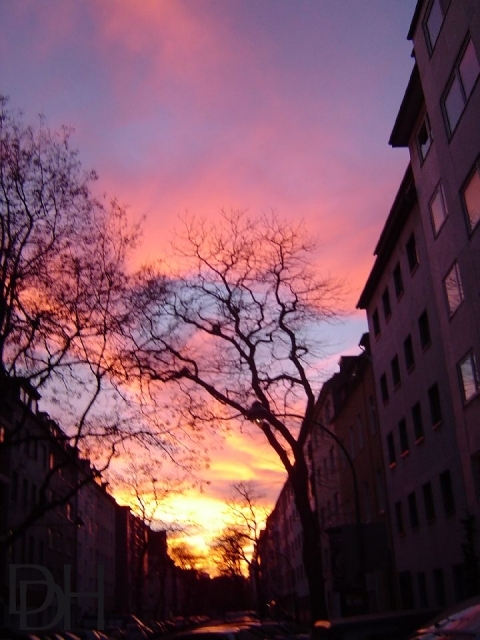 {DT=2005-01-07 @16-55-56}{SN=001}.jpg